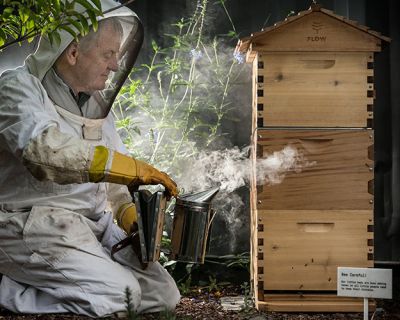 Bee Man Robert smoking bees
