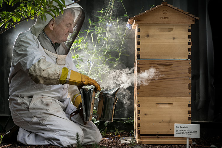 Bee Man Robert smoking bees