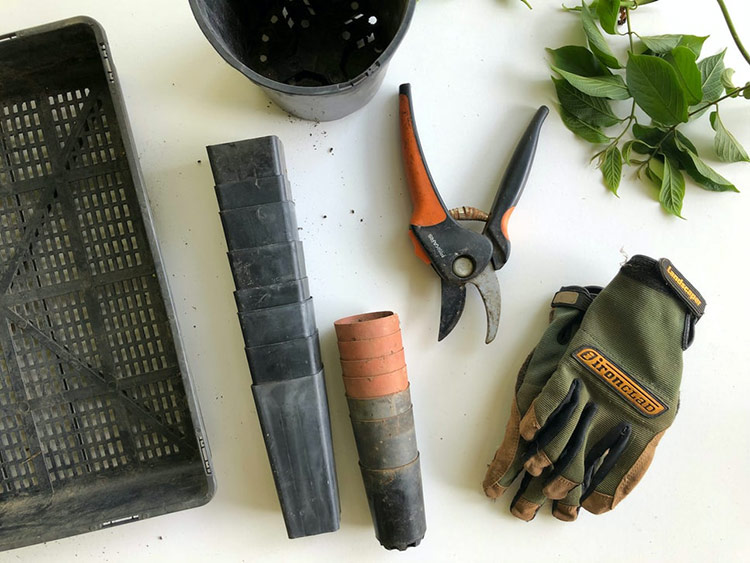 gardening supplies sitting on a bench