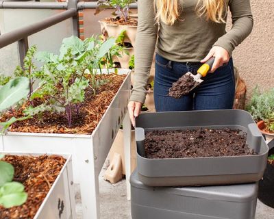 a lady planting new vegetation in her veggie garden