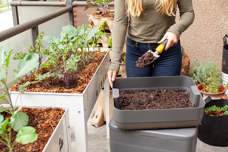 a lady planting new vegetation in her veggie garden
