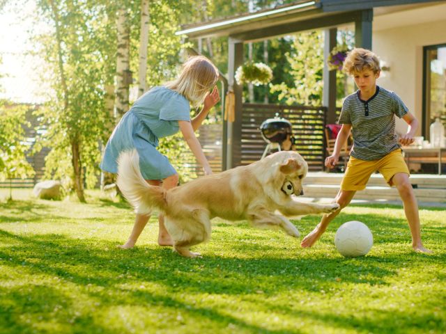 a boy and girl child playing with a dog outside with a soccer ball