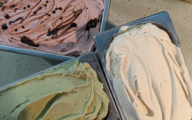 ice-cream-social three types of ice cream sitting on a bench